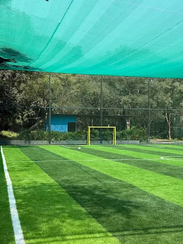 Turf photo 3