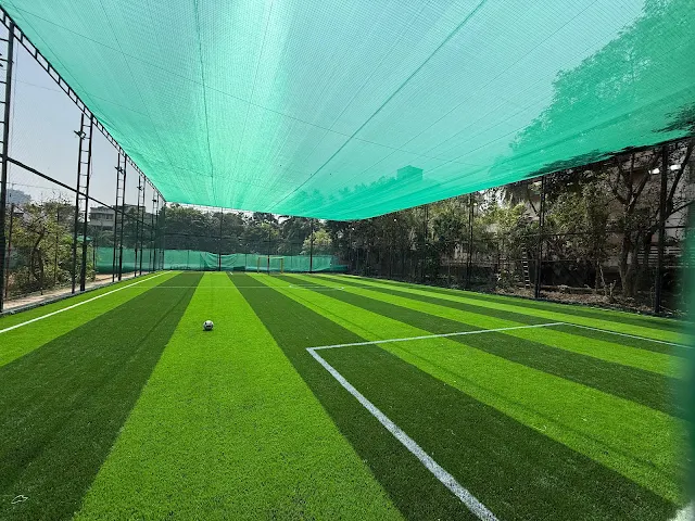 The Paddock Turf