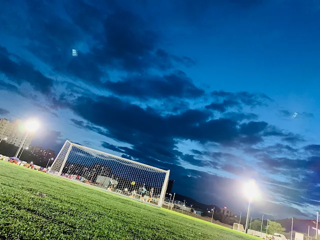 Turf photo 3