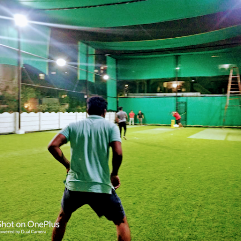 Turf photo 5