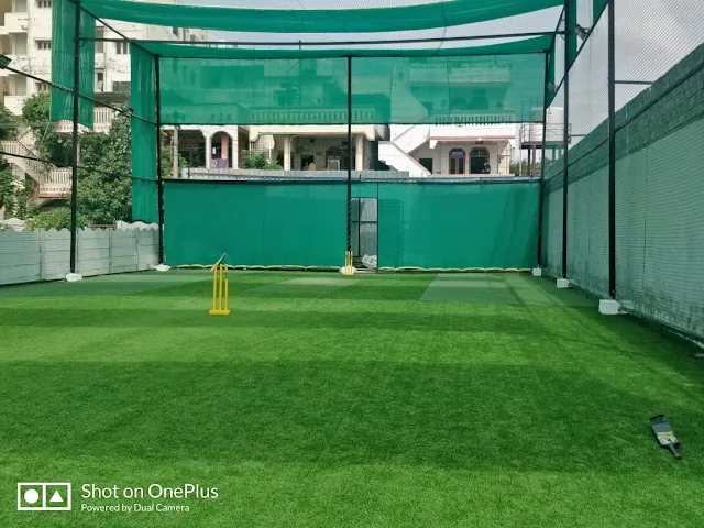 Turf photo 7