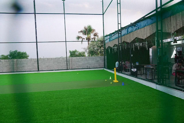 Turf photo 8