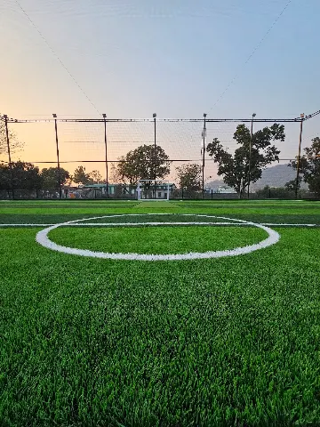 Turf photo 3