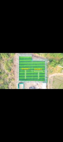 Turf photo 4