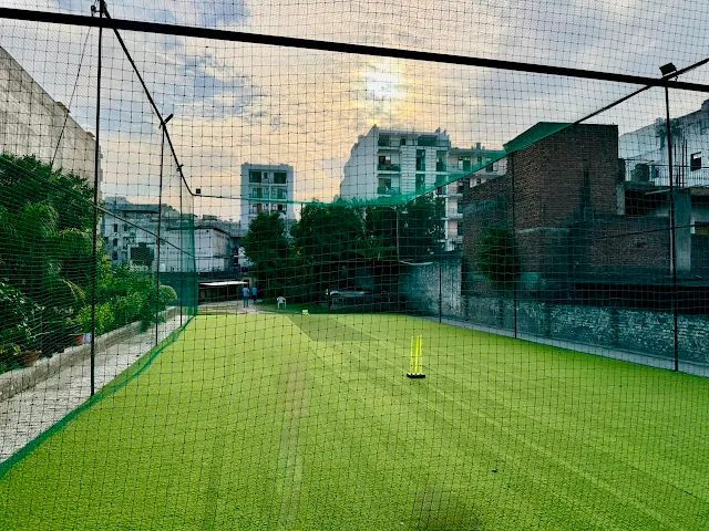 Turf photo 2