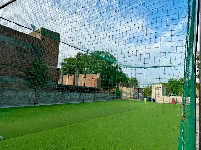 Turf photo 3