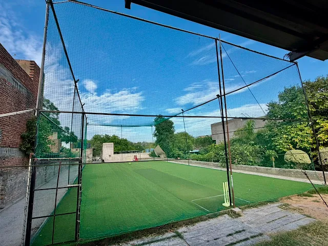 Turf photo 5