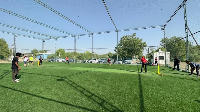 Turf photo 3