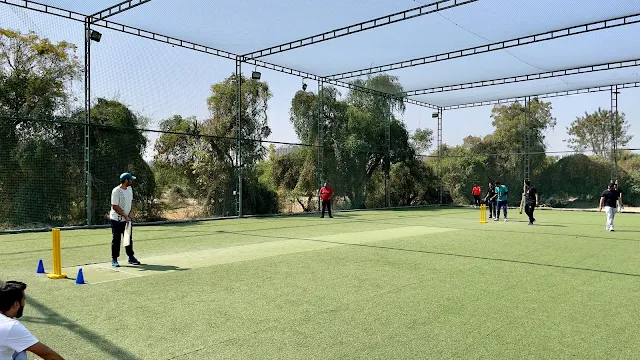 Turf main photo