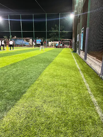 Turf photo 5