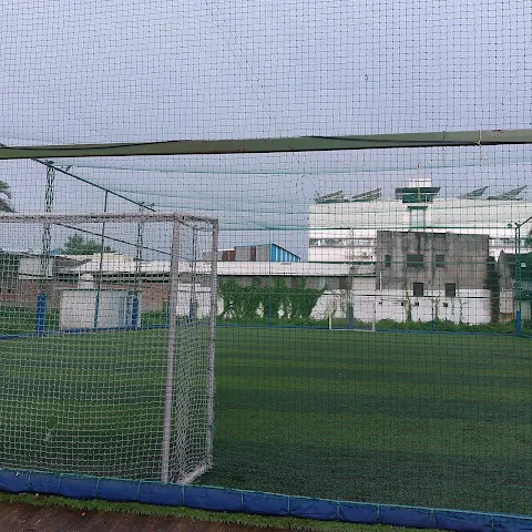 Turf photo 3
