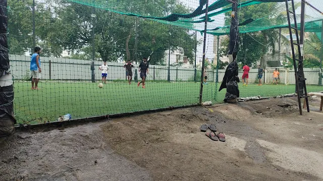 Turf photo 2