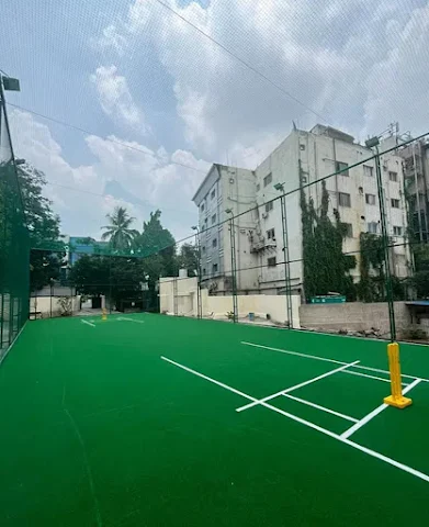Turf main photo