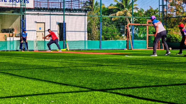 Turf main photo