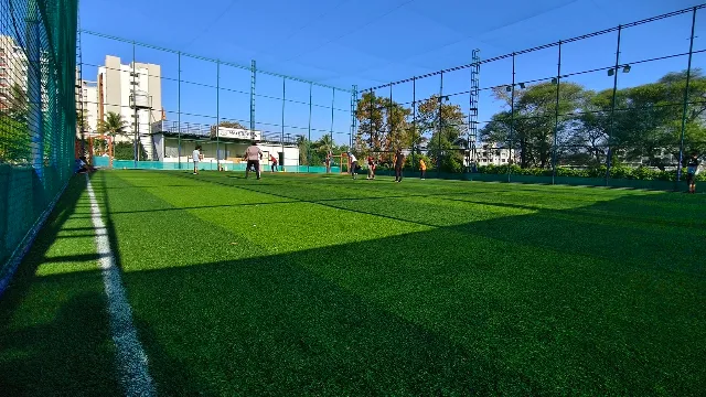 Turf photo 5