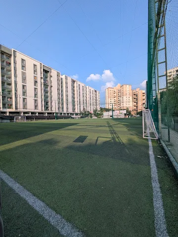 Turf photo 3