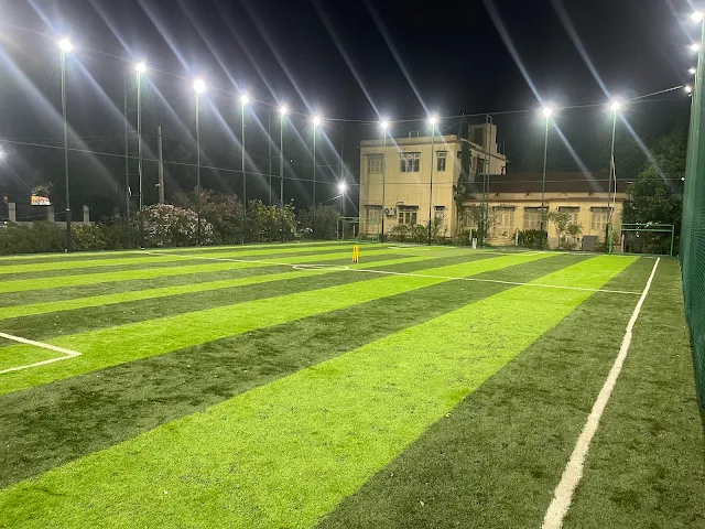 Turf photo 2