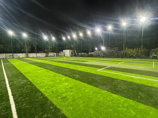 Turf photo 6