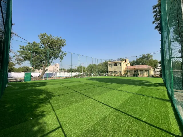 Turf photo 3