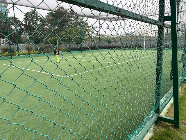 Turf photo 4