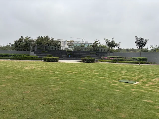 Turf photo 6