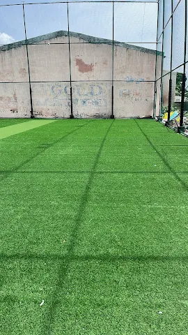 Turf photo 2