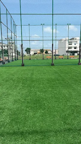 Champion's Box Cricket
