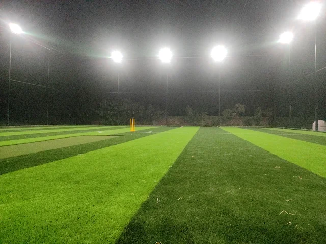 Turf photo 6