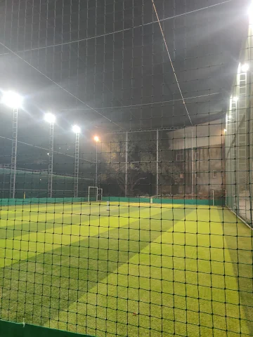 Turf photo 7
