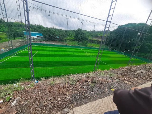 Turf photo 4