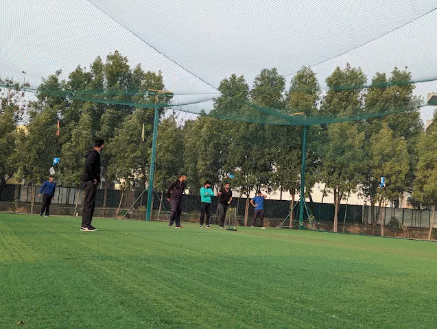 Turf photo 5