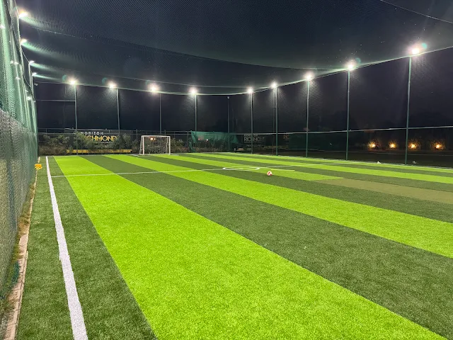 Turf photo 3