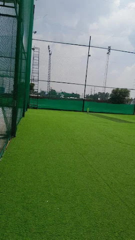 Turf main photo