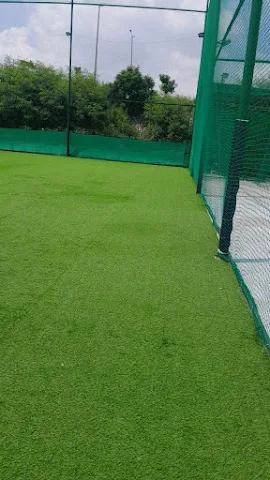 Turf photo 2