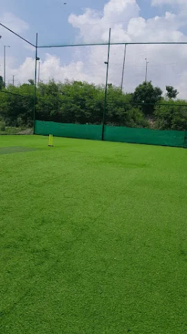 Turf photo 3