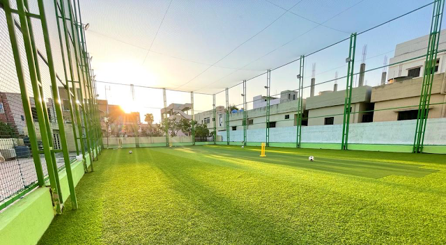 Turf photo 6