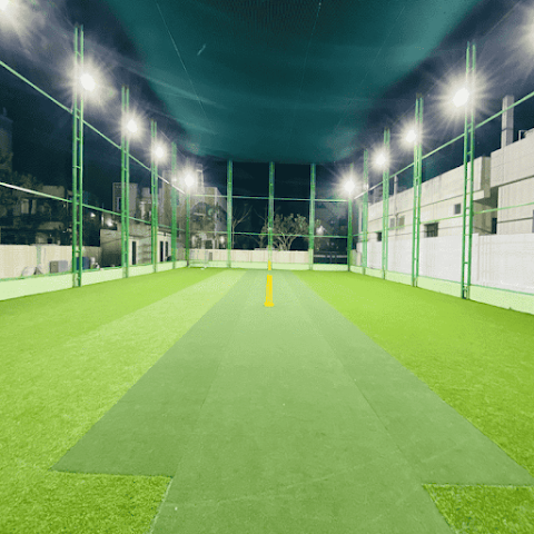 Turf photo 8