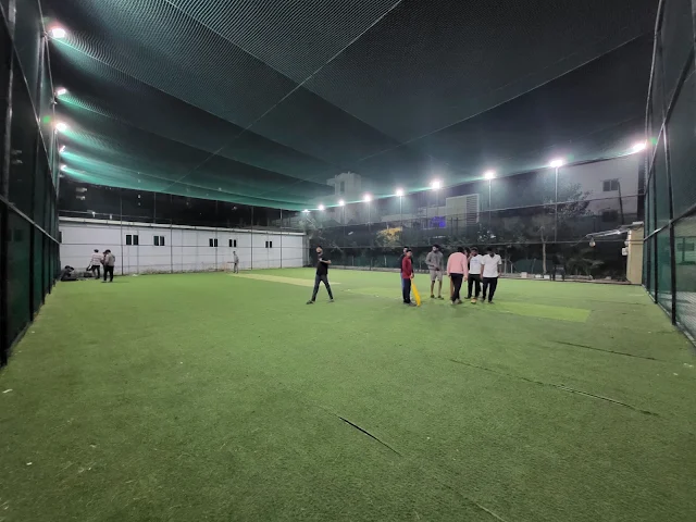 Turf photo 5