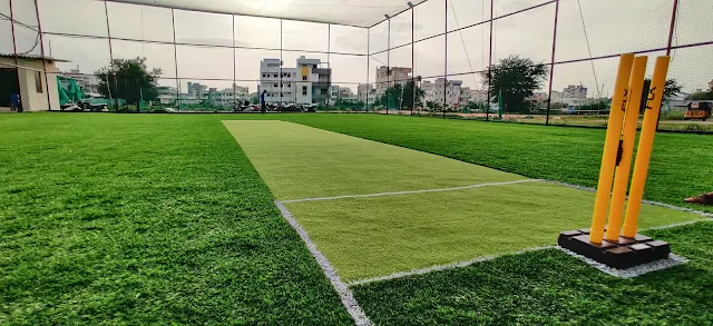 Turf photo 10