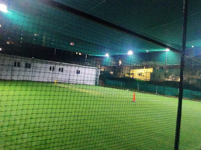 Turf photo 8
