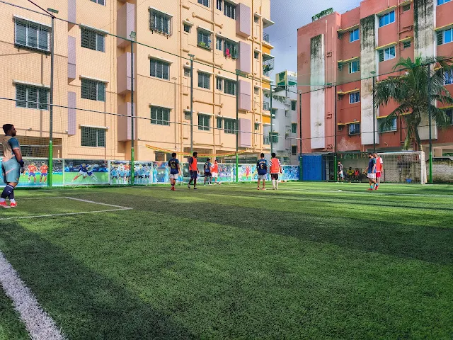 Turf photo 2