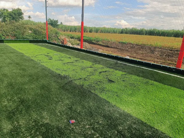 Turf photo 4