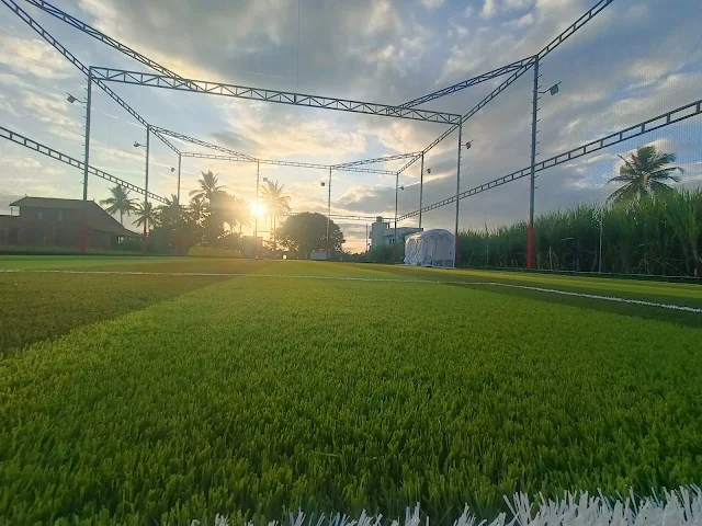 Turf photo 5