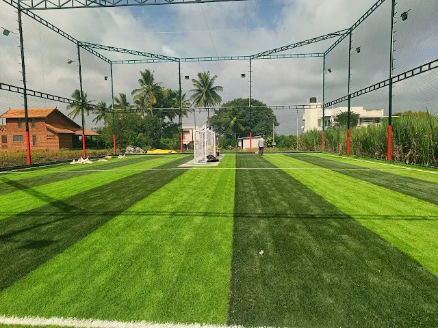 Turf photo 6