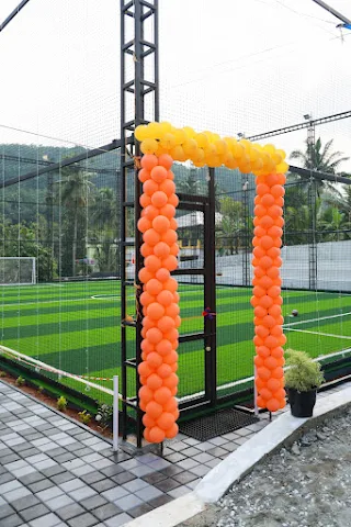 Turf photo 5