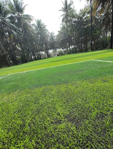 Turf photo 3