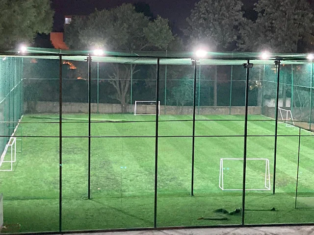 Turf photo 3