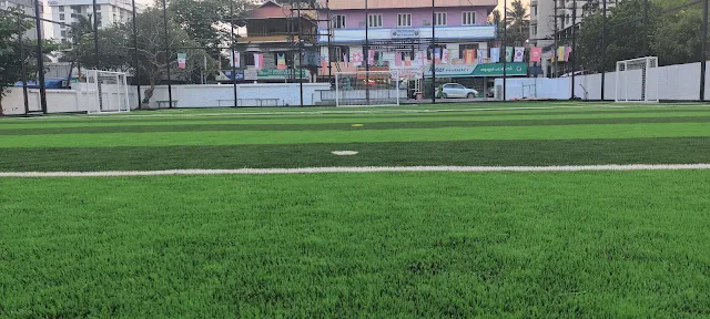 Turf photo 4