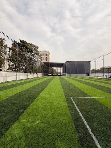 Turf photo 3