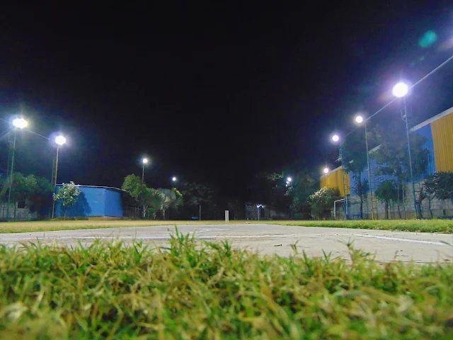 Turf photo 2
